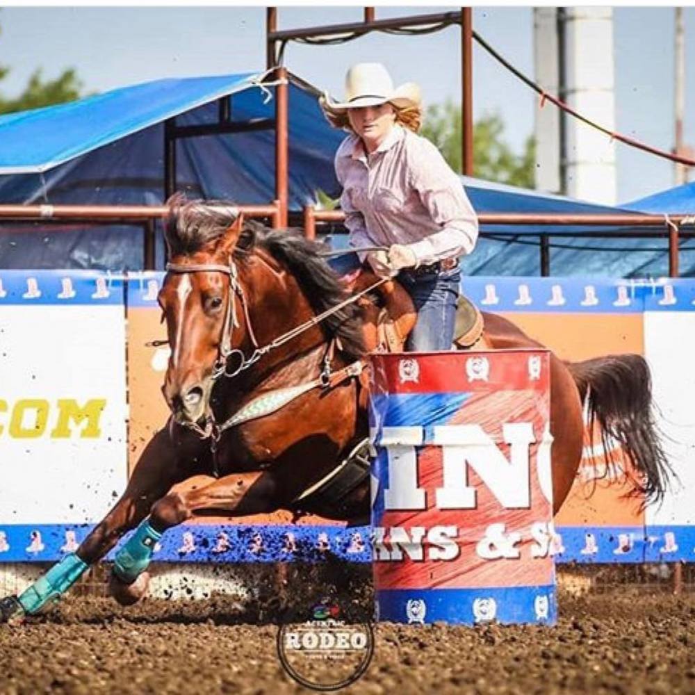 Meet your Posher, Jessie